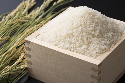 特別栽培米「越匠米コシヒカリ」